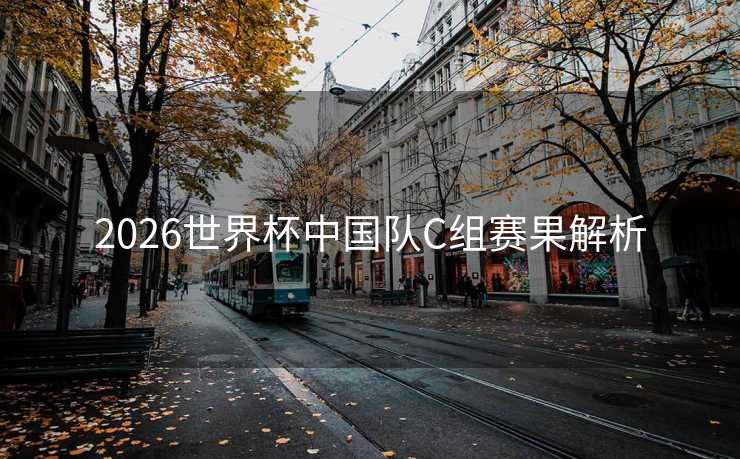2026世界杯中国队C组赛果解析